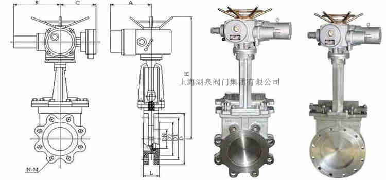 Z973H-10C-DN300耐磨一體式電動(dòng)刀型閘閥